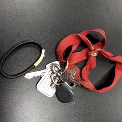 Náramok & Kľúčenka, ako bolo nahlásené Arriva Vechtdallijnen pomocou iLost