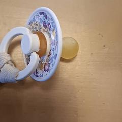 Speen met koord, som rapportert av Avonturenboerderij Molenwaard ved bruk av iLost