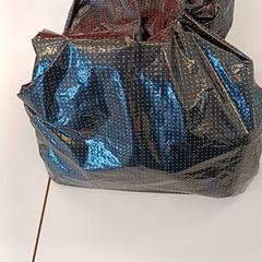 Plastpåse, rapporterat av Regio Antwerpen - Brussel med iLost