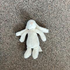 Knuffel, amint azt Burgers' Zoo az iLost segítségével jelentette.