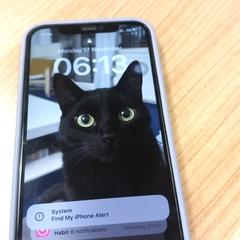 Smartphone Lila/paars hoesje Apple, come riportato da RRReis Veluwe Zuid - Ede utilizzando iLost