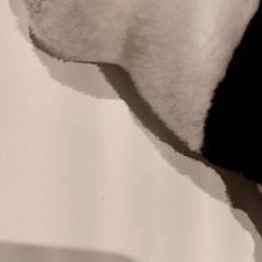 Mysig leksak, rapporterat av De Efteling med iLost