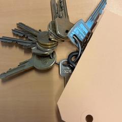 Llavero, ha sido reportado por RET con iLost