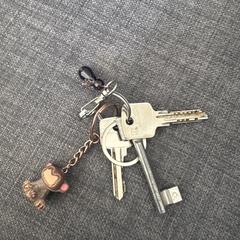 3 Keys with two keychains, segundo informou a iLost