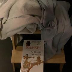 Bok, Handduk & Tshirt Towel, book, T-shirt, rapporterat av MEININGER Hotel Brussels City Center med iLost