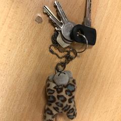 Sleutels, amint azt Pathé Buitenhof az iLost segítségével jelentette.