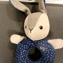 Peluix Blauw, segons ha informat Breng Nijmegen mitjançant iLost