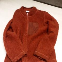 Jacka, rapporterat av Arriva Oost-Brabant med iLost