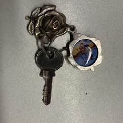 Sleutel Roos, zoals gemeld door Pathé Schouwburgplein met iLost