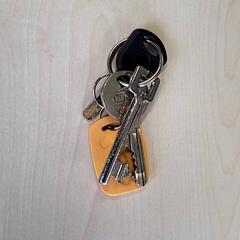 Nøkler, som rapportert av Connexxion Haarlem IJmond ved bruk av iLost