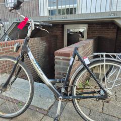 Women’s bike, as reported by Gemeente Roermond using iLost