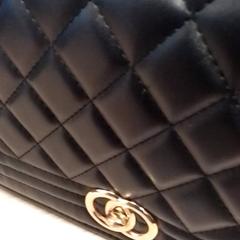 Taška Zwart, Alahmad, jak nahlášeno Qbuzz Fryslân pomocí iLost