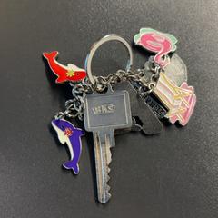 Keys Met sleutelhangers, as reported by Pathé Amsterdam Noord using iLost