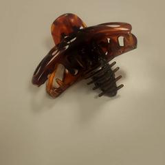 Haarklem, amint azt Vrije Universiteit Amsterdam az iLost segítségével jelentette.