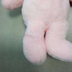 Bambole & Peluche, come riportato da Beekse Bergen Resorts en Hotel utilizzando iLost