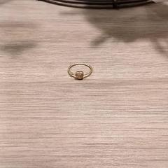 반지, iLost를 사용하여 Van der Valk Hotel Vianen에 보고됨