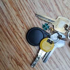 鍵 がiLostで Gemeente Zeist によって報告されました