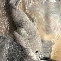 Plyšová hračka Dolfijn, ako bolo nahlásené Van der Valk Hotel Assen pomocou iLost