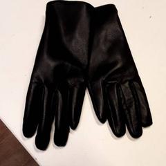 Handschuhe, gemeldet von Qbuzz ZHN über iLost