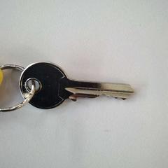 Nøkkel, som rapportert av Twisto ved bruk av iLost