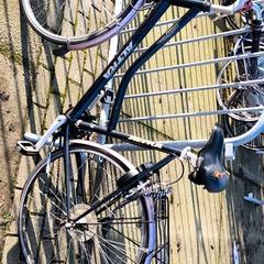 Women’s bike Altra, as reported by Stadswerk072 using iLost