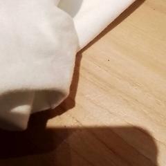 Sveter, ako bolo nahlásené Beekse Bergen Resorts en Hotel pomocou iLost