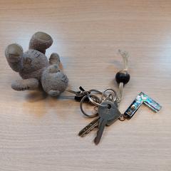 Porte-clés, a été signalé par Centraal magazijn utilisant iLost