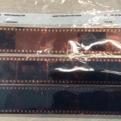 Negatieven, a été signalé par Gemeente Arnhem utilisant iLost