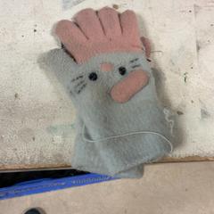 Guanti, come riportato da Artis utilizzando iLost