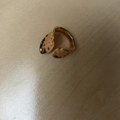 Gyűrű Goud, amint azt Pathé Schouwburgplein az iLost segítségével jelentette.