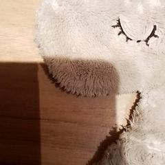 Kuscheltier Doek dier, gemeldet von Beekse Bergen Resorts en Hotel über iLost