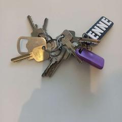 Klíčenka, jak nahlášeno Arriva Limburg Zuid pomocí iLost