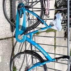 Bicicleta de mujer Batavus, ha sido reportado por Stadswerk072 con iLost