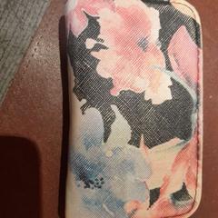 Titolare della carta Nom porteur : BAN***, come riportato da TCL utilizzando iLost