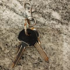 Keys sleutels, come riportato a iLost