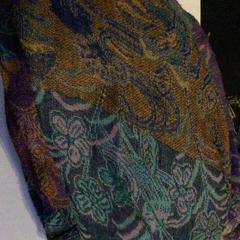 Chal, ha sido reportado por TivoliVredenburg con iLost