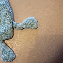 Knuffel, rapporterat av Avonturenboerderij Molenwaard med iLost