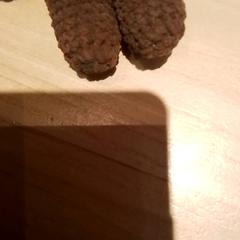 Peluche, a été signalé par Beekse Bergen Resorts en Hotel utilisant iLost