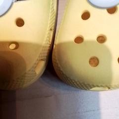 Skor Minion, rapporterat av Beekse Bergen Resorts en Hotel med iLost