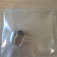 Audiòfon, segons ha informat Keukenhof mitjançant iLost