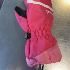 Handschoen Roze, zoals gemeld door Burgers' Zoo met iLost