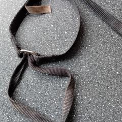 Gentle leader zwarte  hondenband, ha sido reportado a iLost