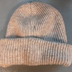 Beanie, som rapportert av Diergaarde Blijdorp ved bruk av iLost