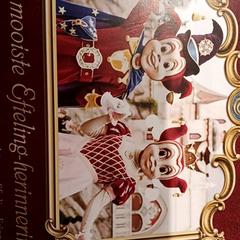 Attractiefoto symbolica, ha sido reportado por De Efteling con iLost