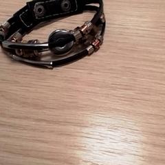 Polsera Bruin, segons ha informat Qbuzz Fryslân mitjançant iLost