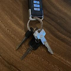 (Auto)sleutels, iLost에 보고됨