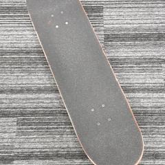 Skateboard, come riportato da Arriva Vechtdallijnen utilizzando iLost
