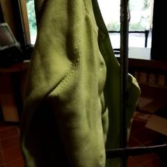 Yoga vestje Groen, rapporterat av Apenheul med iLost