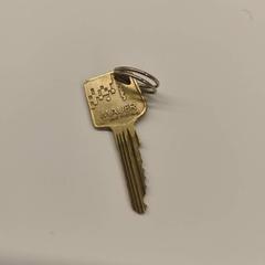 Chiave zilver, come riportato da Stad Hasselt utilizzando iLost