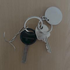 Sleuelbos, jak bylo nahlášeno na iLost